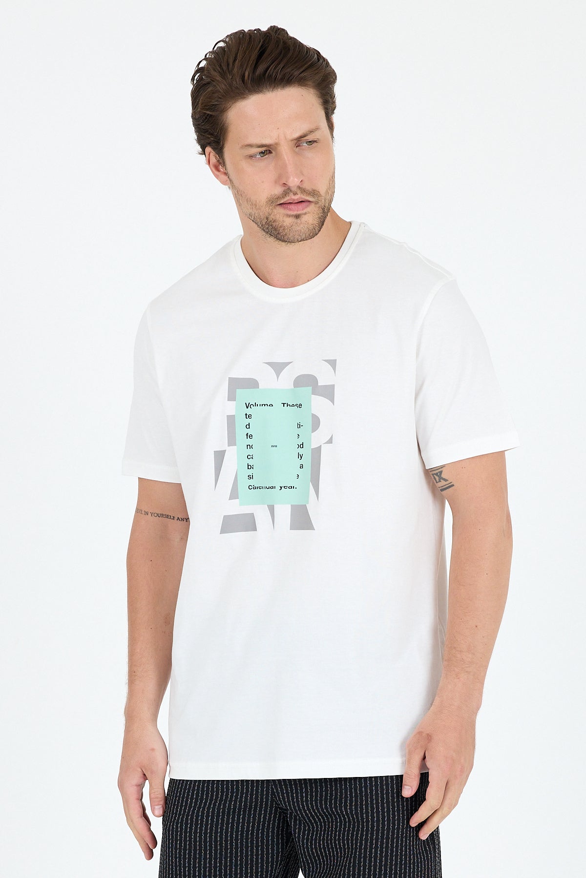Regular Fit Pamuk Bisiklet Yaka Penye Erkek Tişört 0102