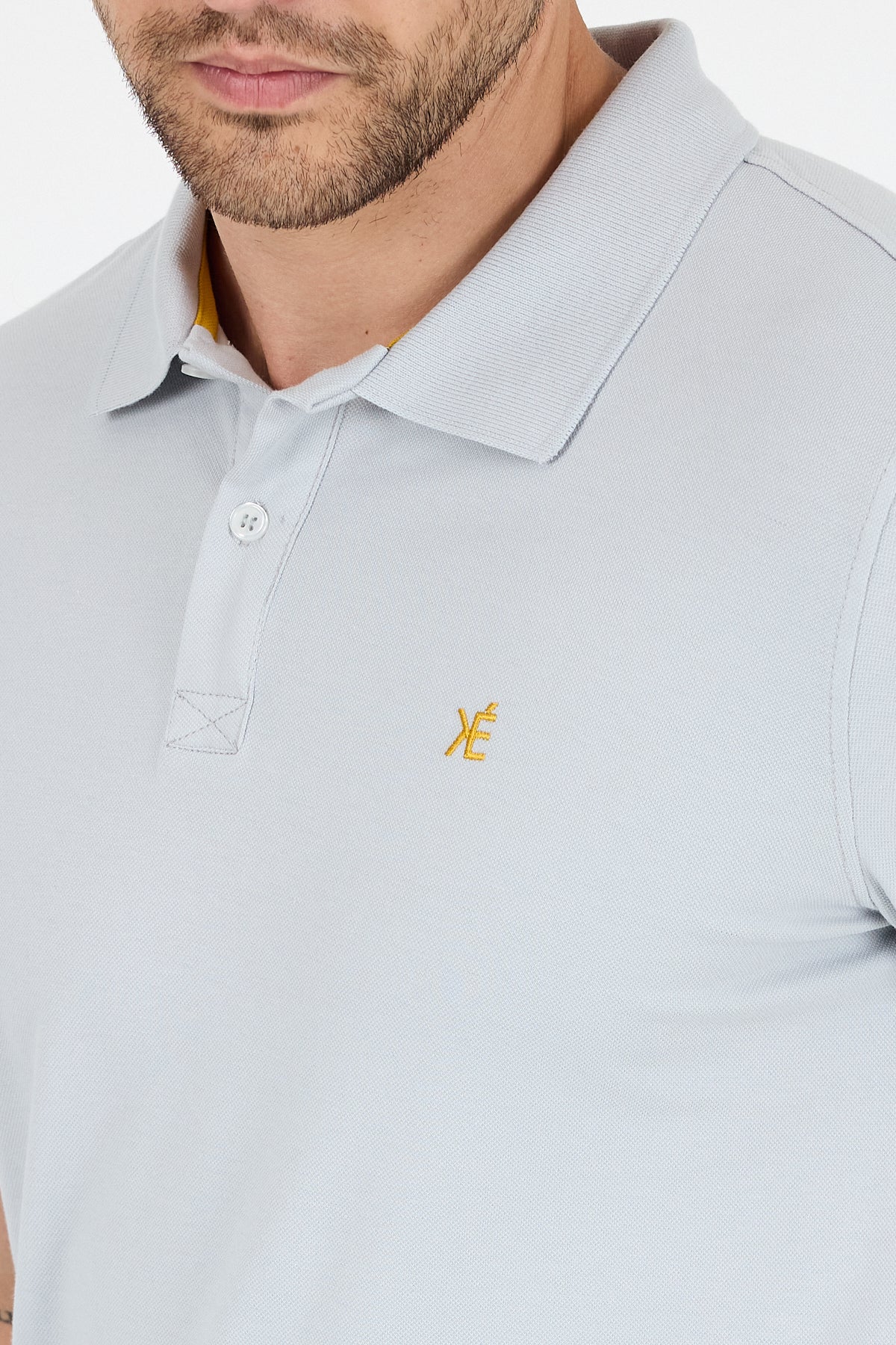 Regular Fit Pamuk Polo Yaka Kısa Kollu Pike Erkek Tişört 0002