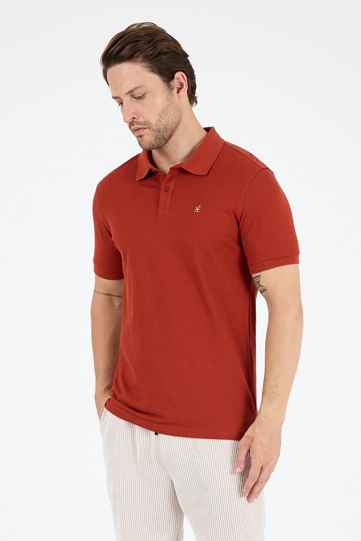 Regular Fit Pamuk Polo Yaka Kısa Kollu Pike Erkek Tişört 0002