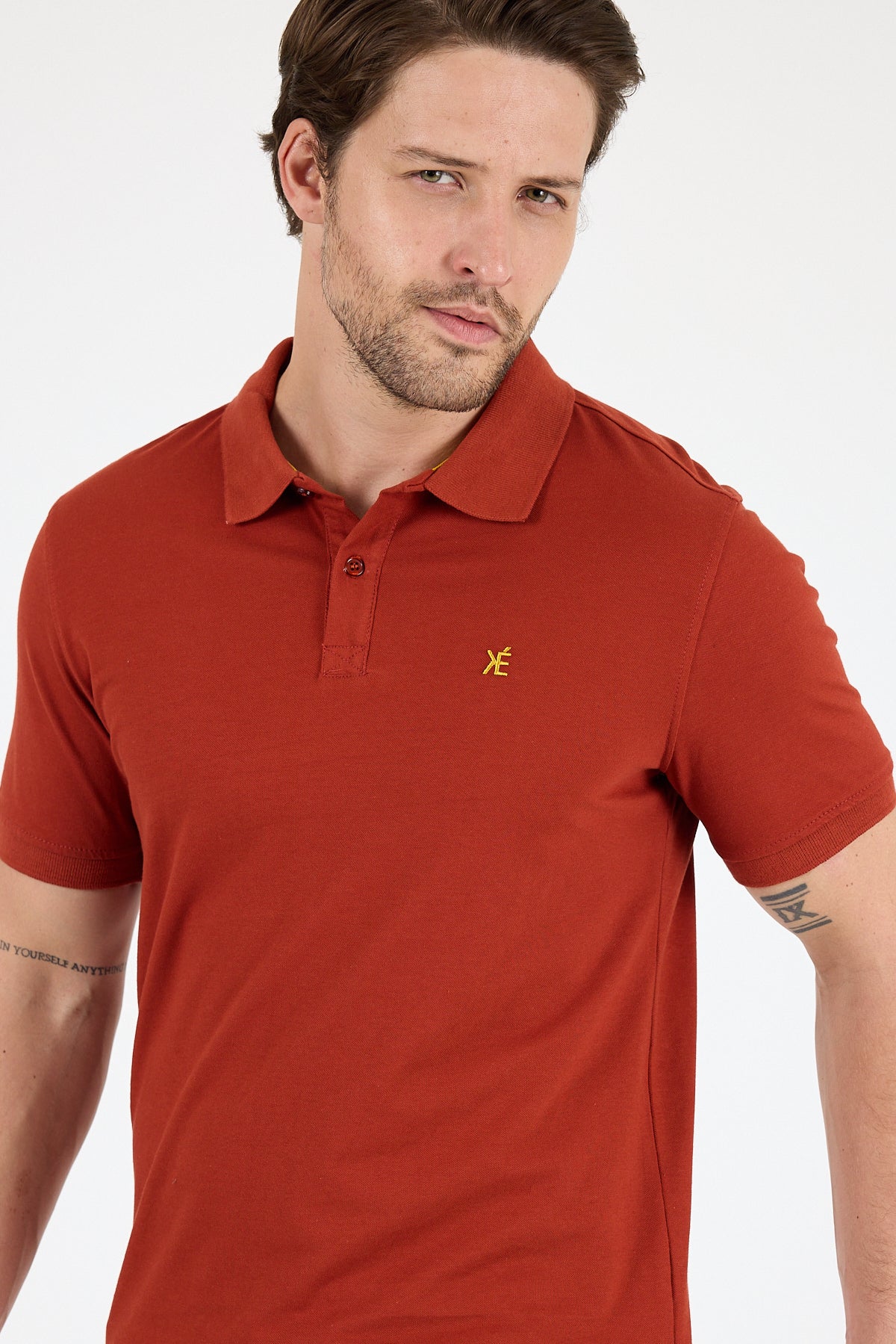 Regular Fit Pamuk Polo Yaka Kısa Kollu Pike Erkek Tişört 0002